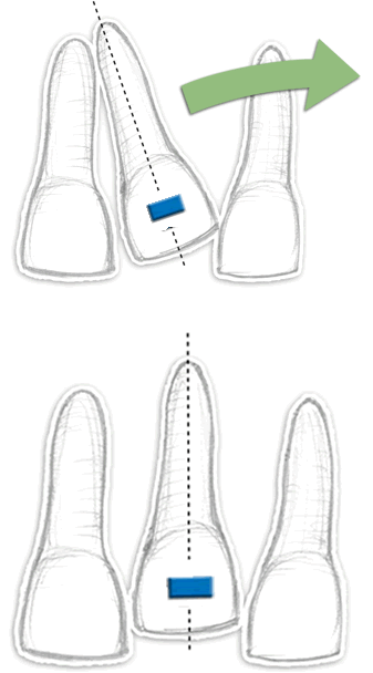 4409540905367_01_02.gif