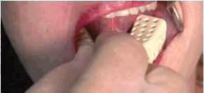 4406449626391_01.gif