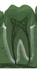 4403065856407_42.gif