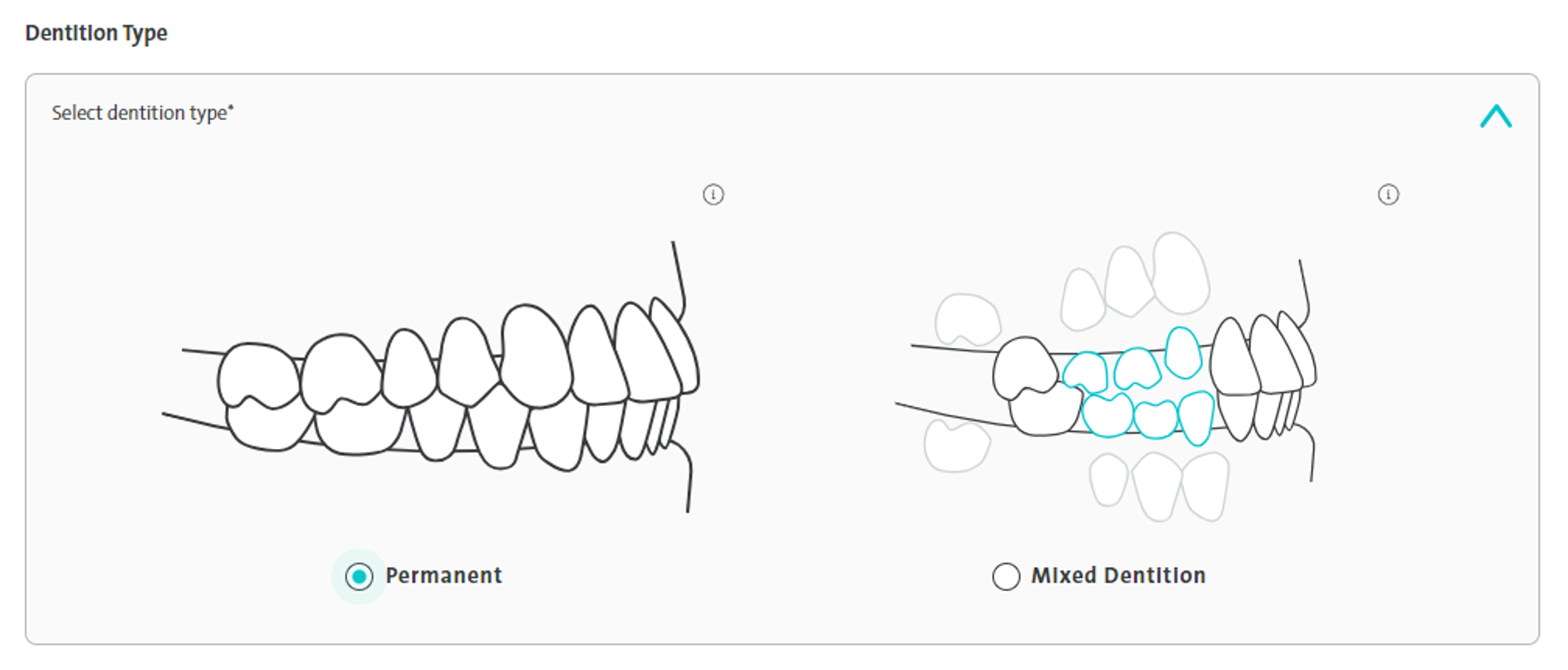 Dentition_10.24.png permanente o misto