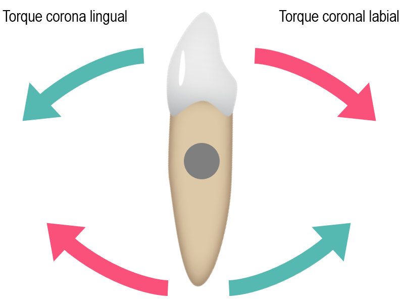 Torque_Es.png